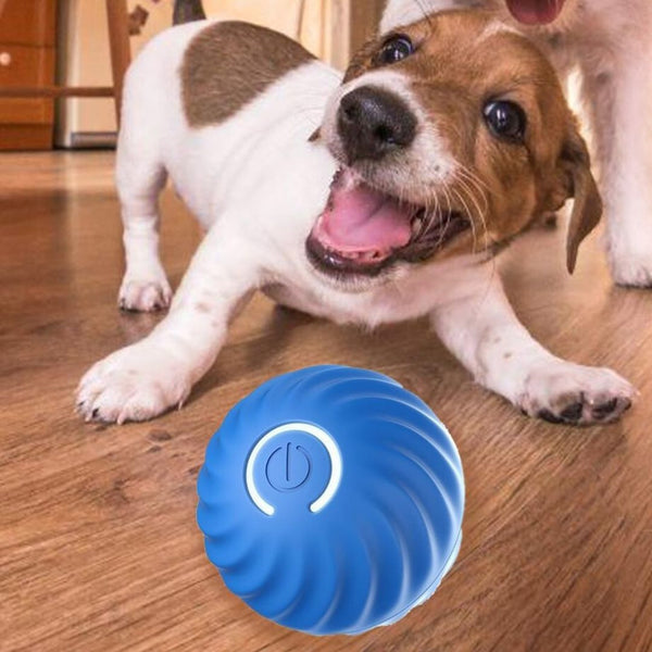 Jouet pour Chien - La Balle Interactive pour Chien : Le Compagnon de Jeu Idéal I PET JUMP BALL - PitouDoux