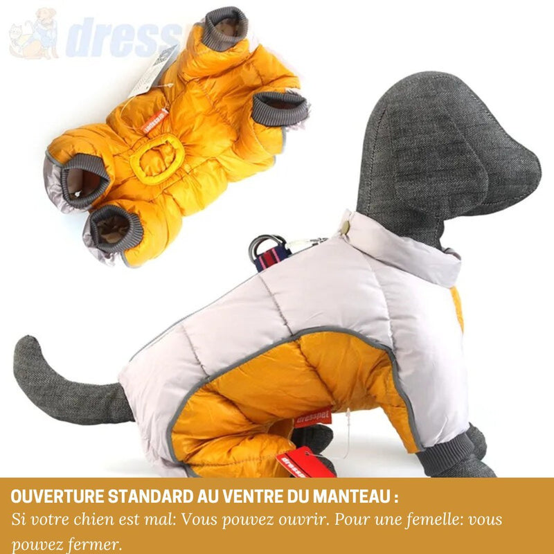 Manteau pour petits chiens, imperméable, chaud, en coton, Automne, Hiver - DRESSPET - PitouDoux