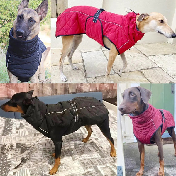 MEGAPARKAS™ : Manteau imperméable, chaud, réfléchissant, pour grand chien, hiver. - PitouDoux