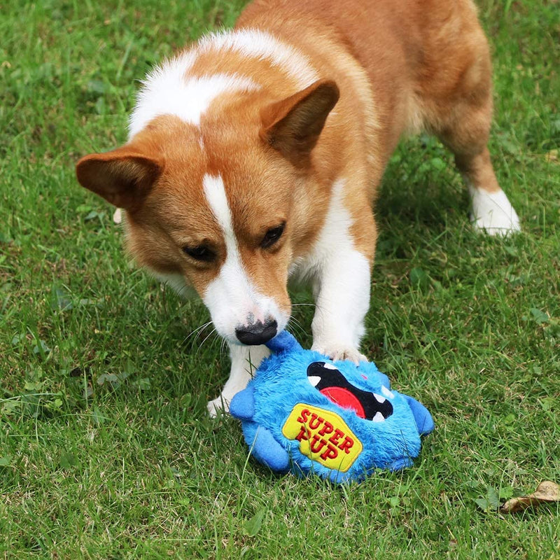 Monster Toys - Jouet interactif balle en peluche pour chien. - PitouDoux