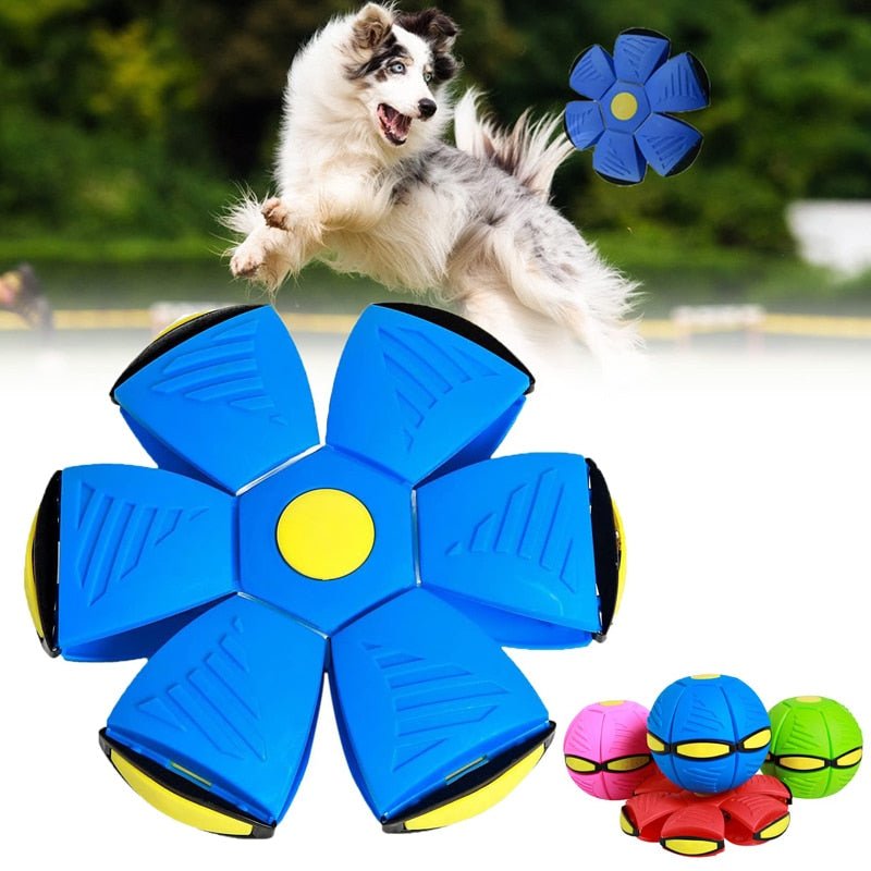 OVNI™-Jouet Ball interactif LED pour chiens - PitouDoux