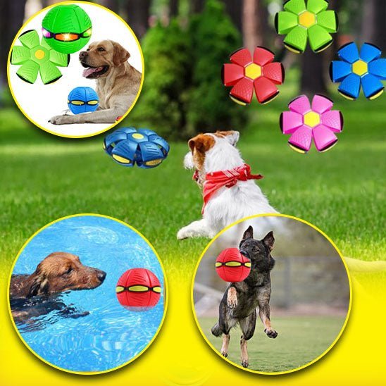 OVNI™-Jouet Ball interactif LED pour chiens - PitouDoux