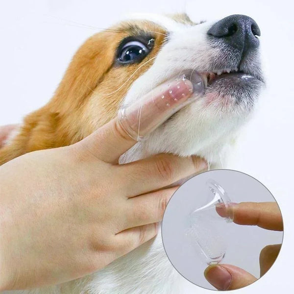 PET FINGER TOOTHBRUSH™ - Brosses à dent à doigts, douce pour petit et moyen chiens. - PitouDoux