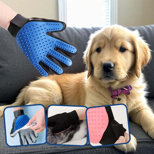 PET GLOVE-BRUSH : Gants, Brosse de toilettage pour chien, chat - PitouDoux