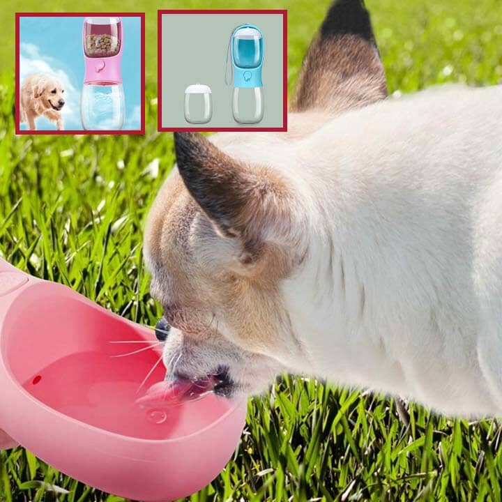 PET WATER BOTTLE - Bouteille d'Eau et Bouilloire pour Chien 2 en 1 - PitouDoux