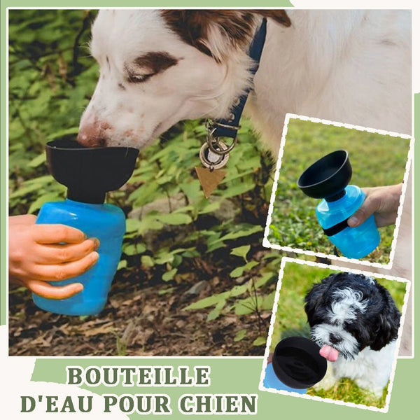 PRATIC-WATER™-Bouteille d'eau Portable pliable pour chiens - PitouDoux