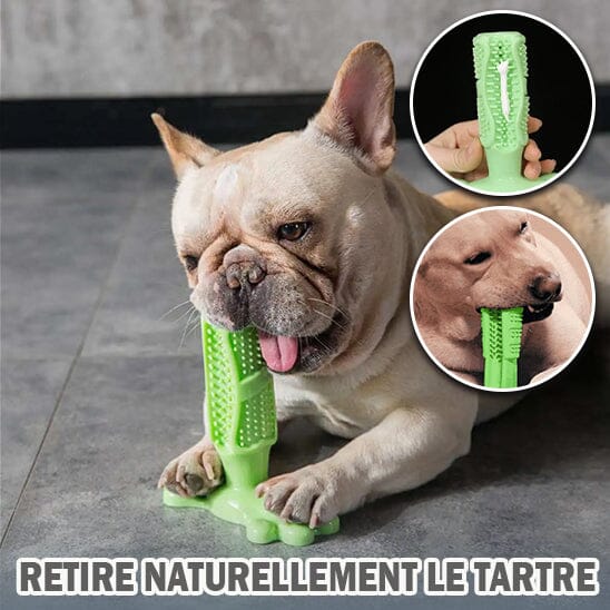 DentalDog™ Jouet Interactif et Brosse à Dents pour Chien