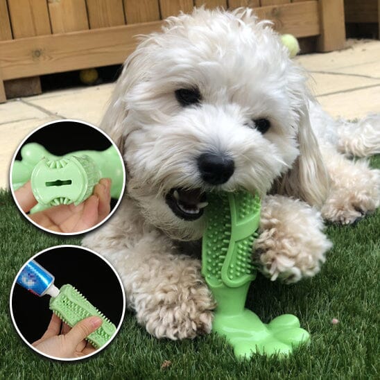 DentalDog™ Jouet Interactif et Brosse à Dents pour Chien