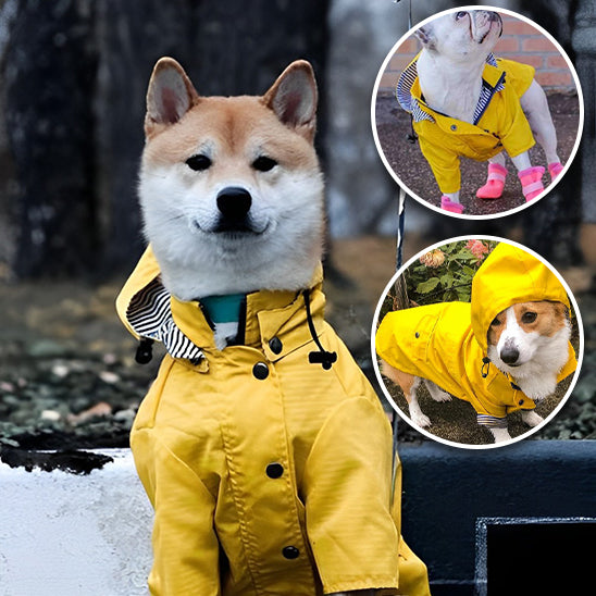 Manteau ajustable Imperméable pour Animaux de Compagnie - WINJACKET™ - PitouDoux