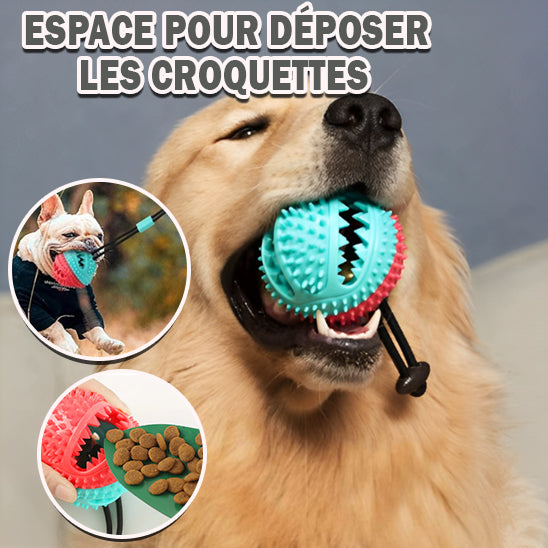 SUCTION TOYS™ - Jouet à mordre, interctif, alimentaire qui fuit, à ventouse pour Chien - PitouDoux