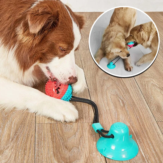 SUCTION TOYS™ - Jouet à mordre, interctif, alimentaire qui fuit, à ventouse pour Chien - PitouDoux