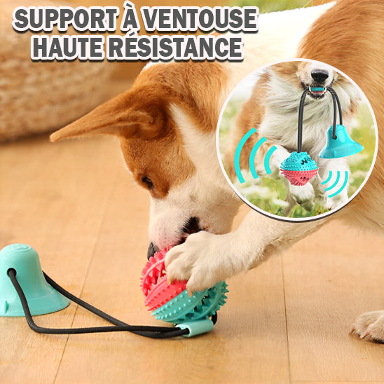 SUCTION TOYS™ - Jouet à mordre, interctif, alimentaire qui fuit, à ventouse pour Chien - PitouDoux