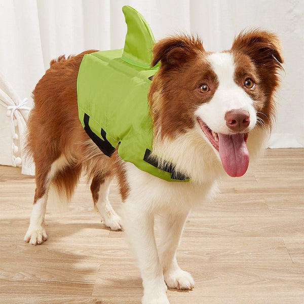 SHARKLIFE- Shlavabo-Maillot de bain en verre trempé pour chien, veste de natation pour chiot, - PitouDoux