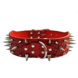 SHARP™ - Collier anti-morsure pour Chien en Cuir Clouté - PitouDoux