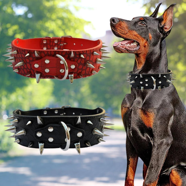 SHARP™ - Collier anti-morsure pour Chien en Cuir Clouté - PitouDoux