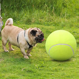 Tennis Ball Giant - jouet pour chien, Lanceur de ramassage de balle de tennis. - PitouDoux