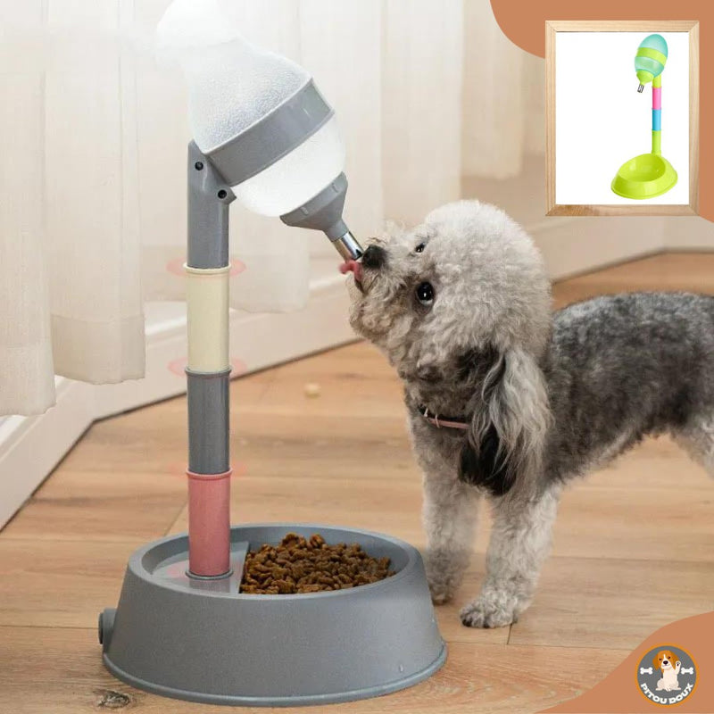 WATER DISPENSER PET- Distributeur d'eau automatique 2 en 1 pour petit chien (nouveau 2023) - PitouDoux